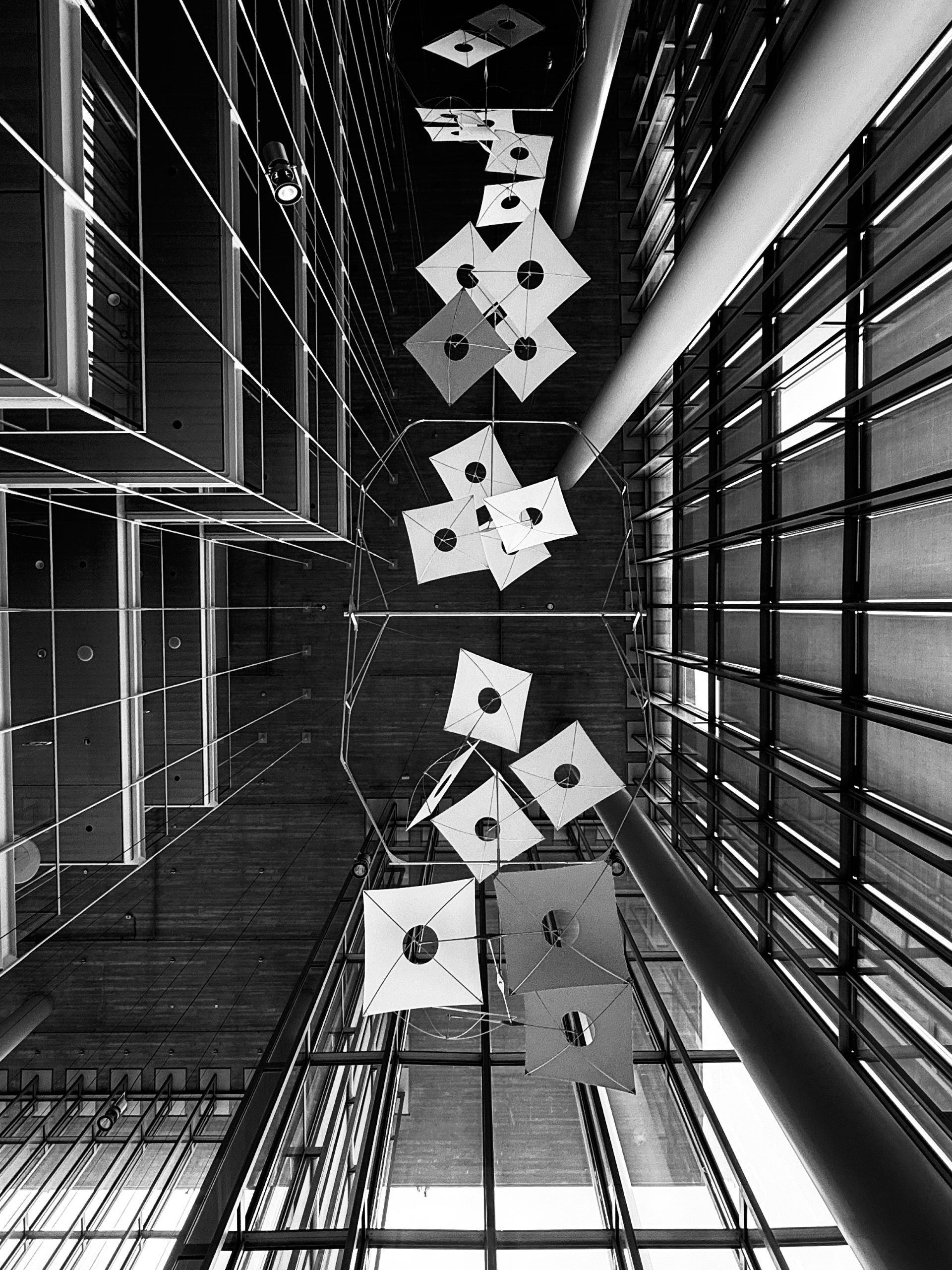 Elegance of Structure – Black and White